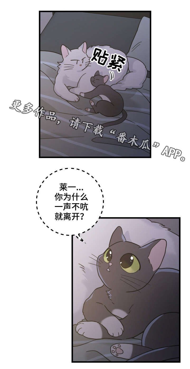 第39章：你别走