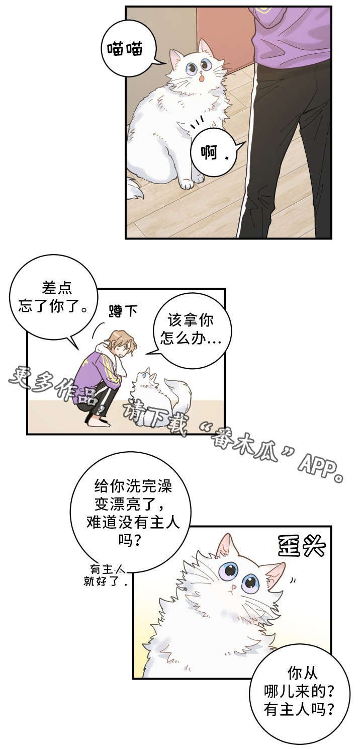 第4章：我要呆在这