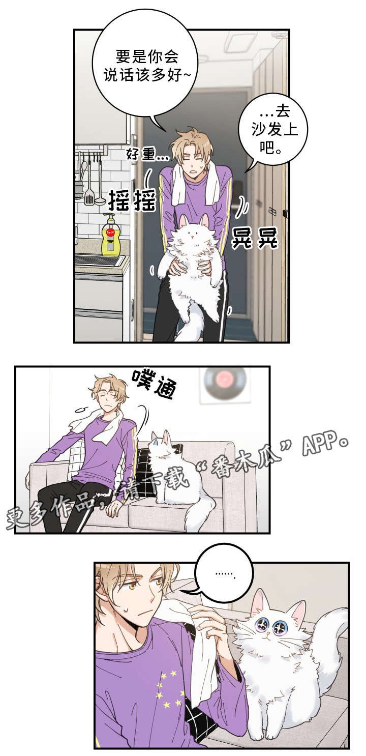 第4章：我要呆在这
