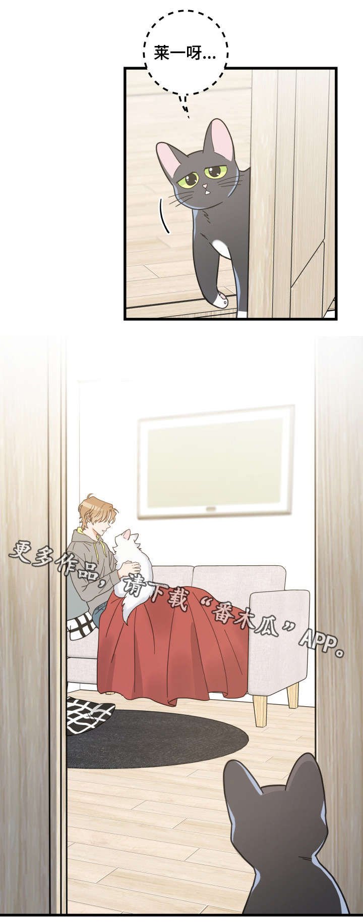 第40章：决心
