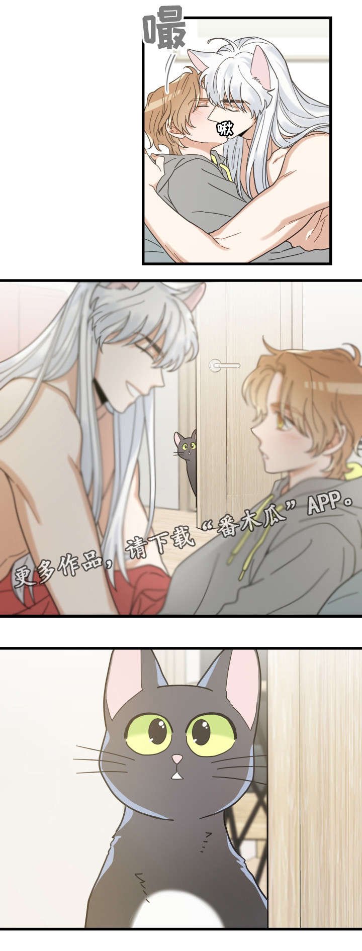 第40章：决心