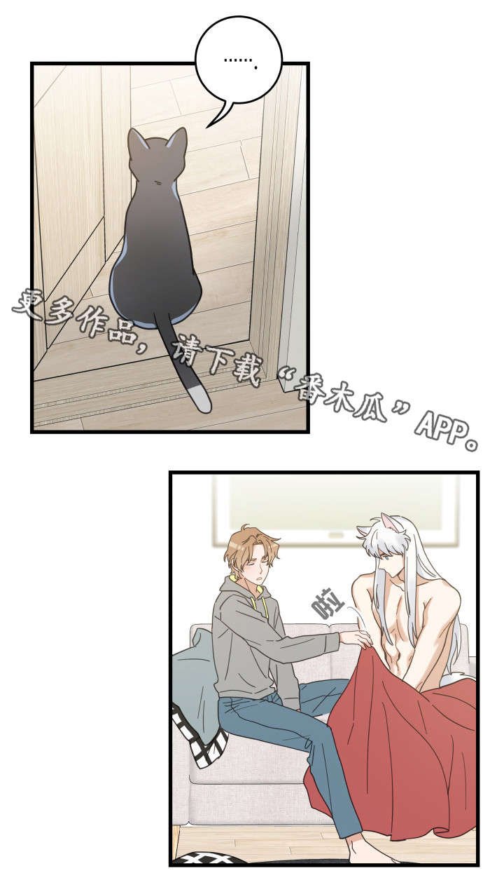 第40章：决心