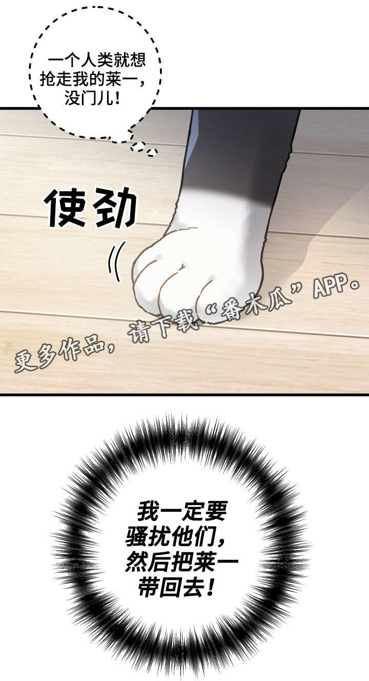 第40章：决心