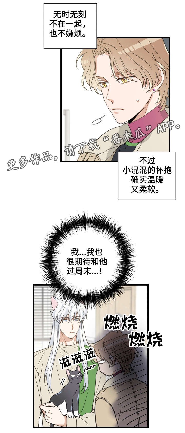 第40章：决心