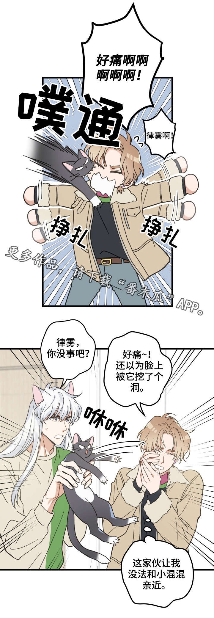 第40章：决心