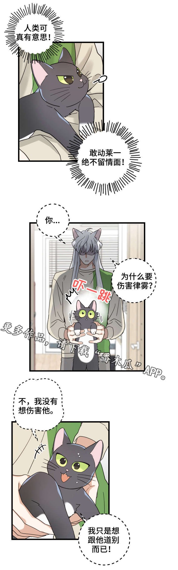 第40章：决心