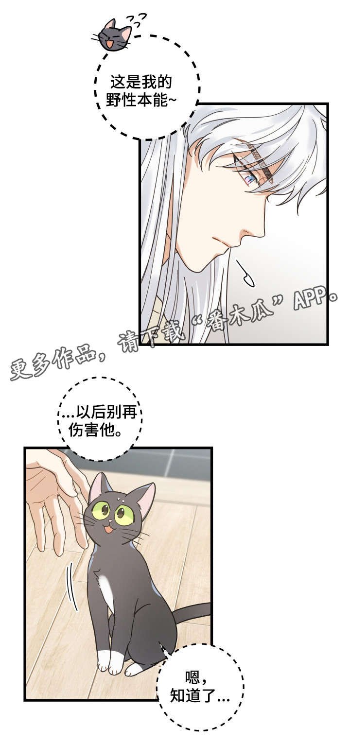 第41章：本能