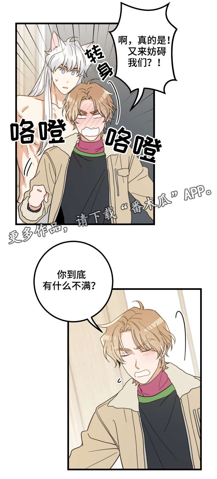 第42章：臭猫