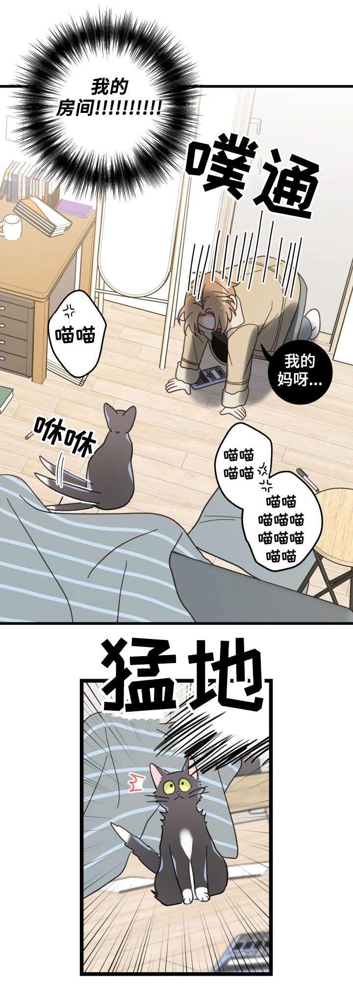 第42章：臭猫
