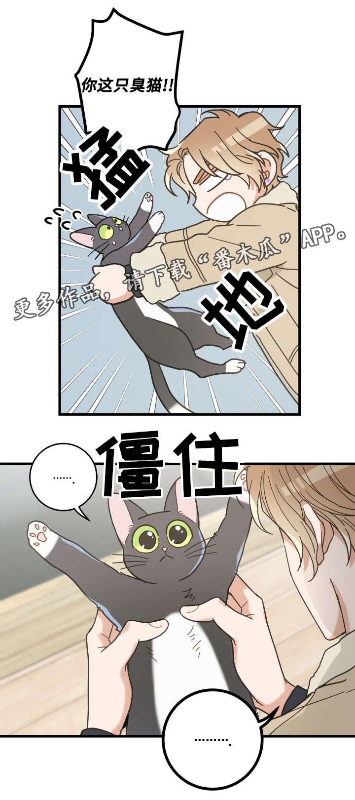 第42章：臭猫