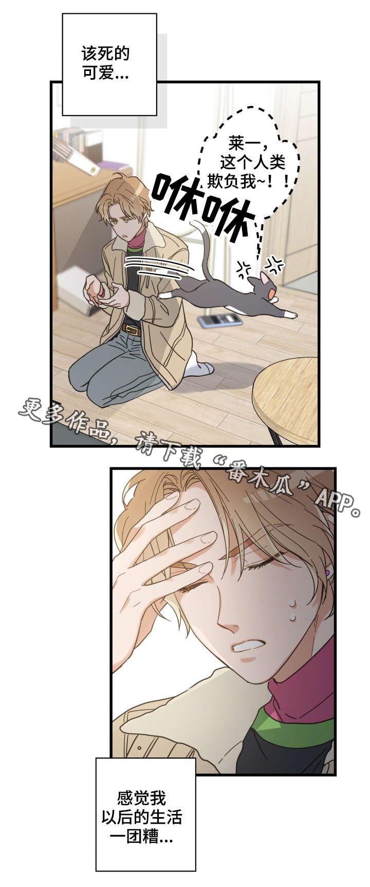 第42章：臭猫