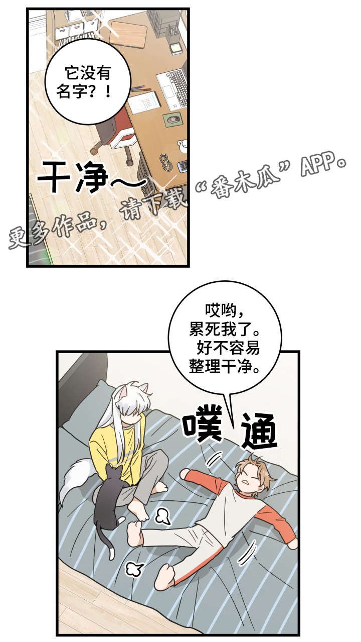 第42章：臭猫