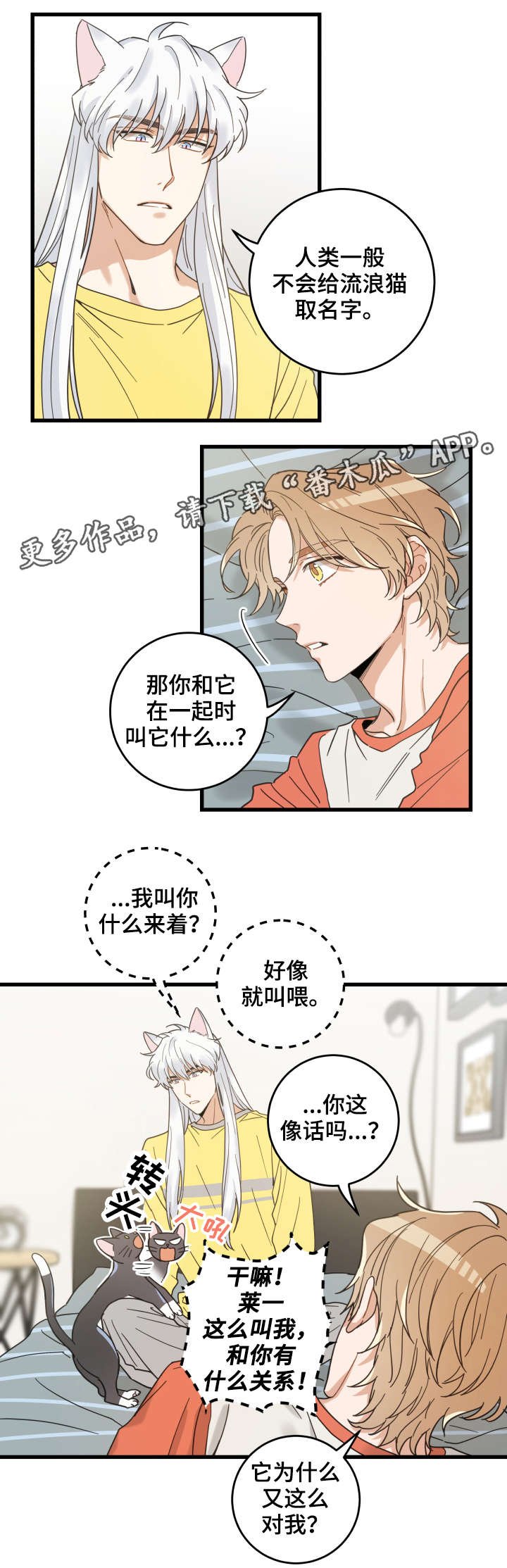 第42章：臭猫