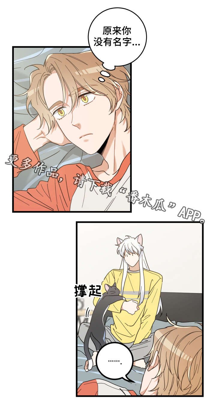 第42章：臭猫