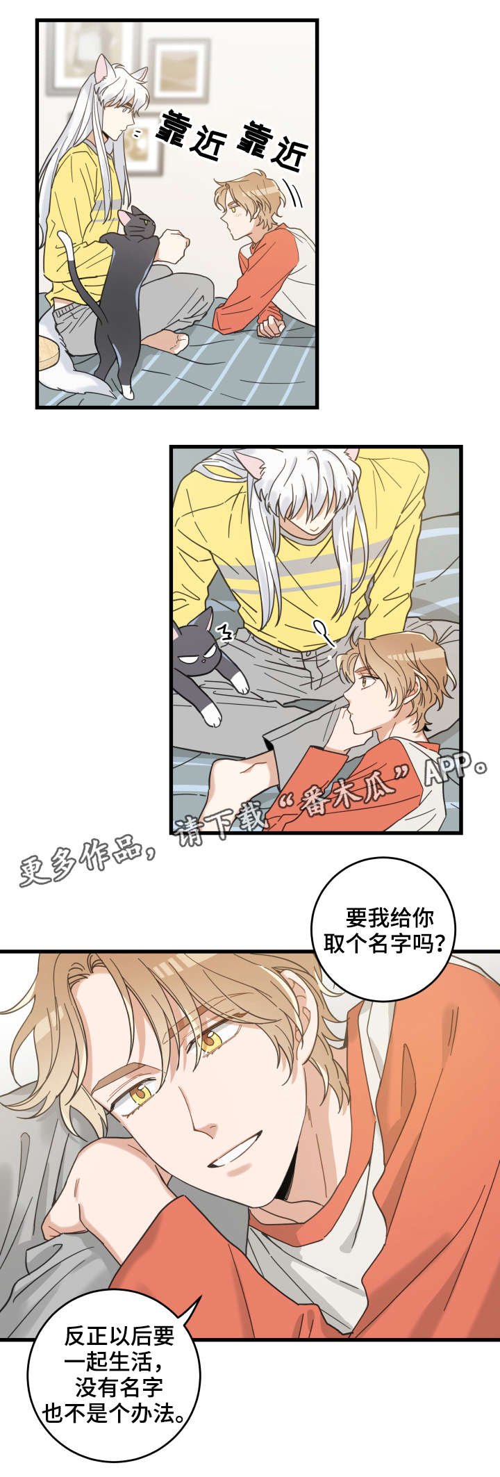 第42章：臭猫