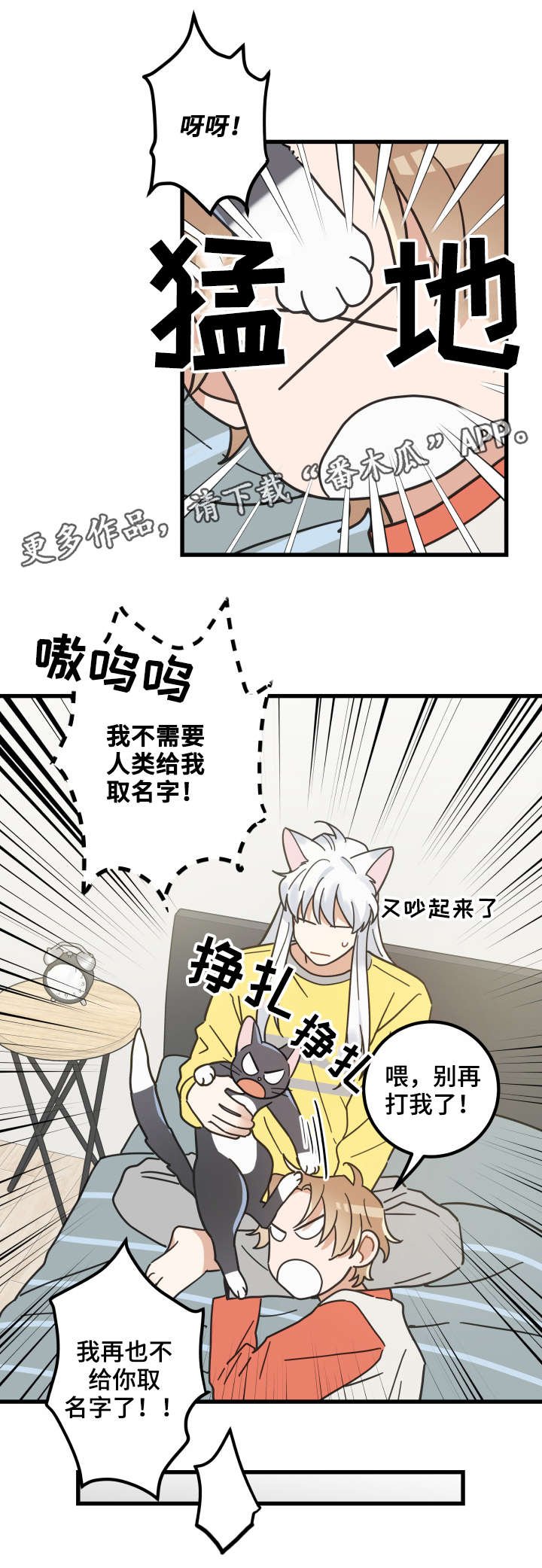 第42章：臭猫