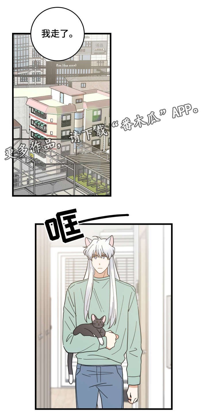 第42章：臭猫