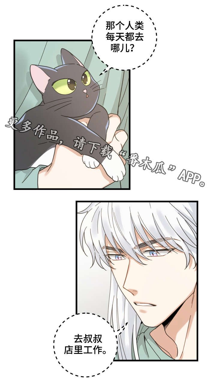 第42章：臭猫