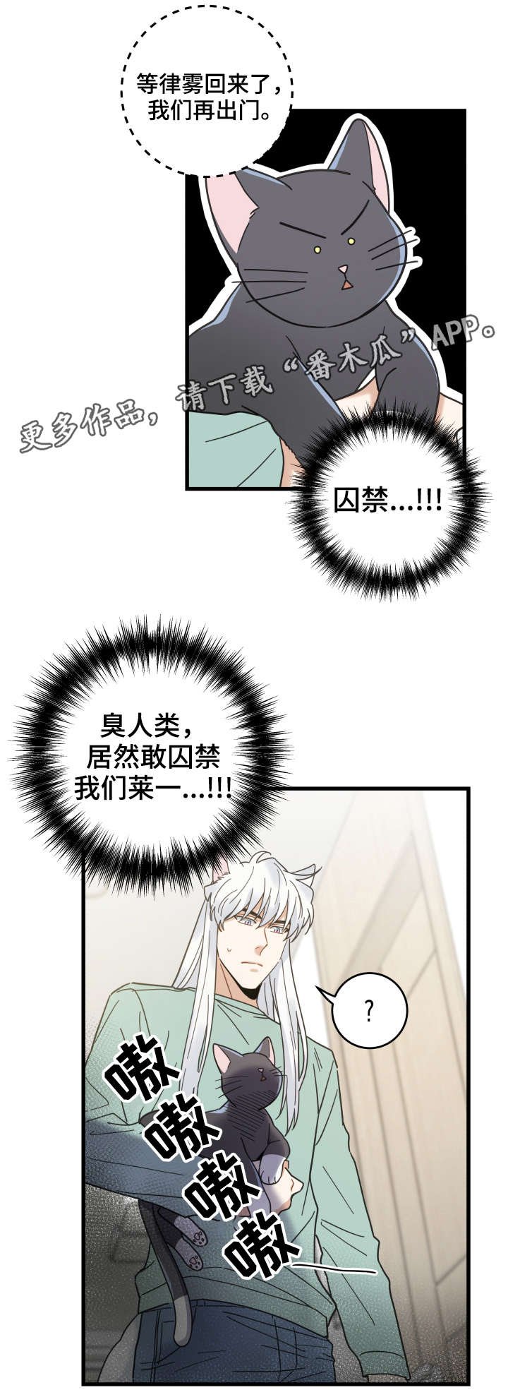 第42章：臭猫