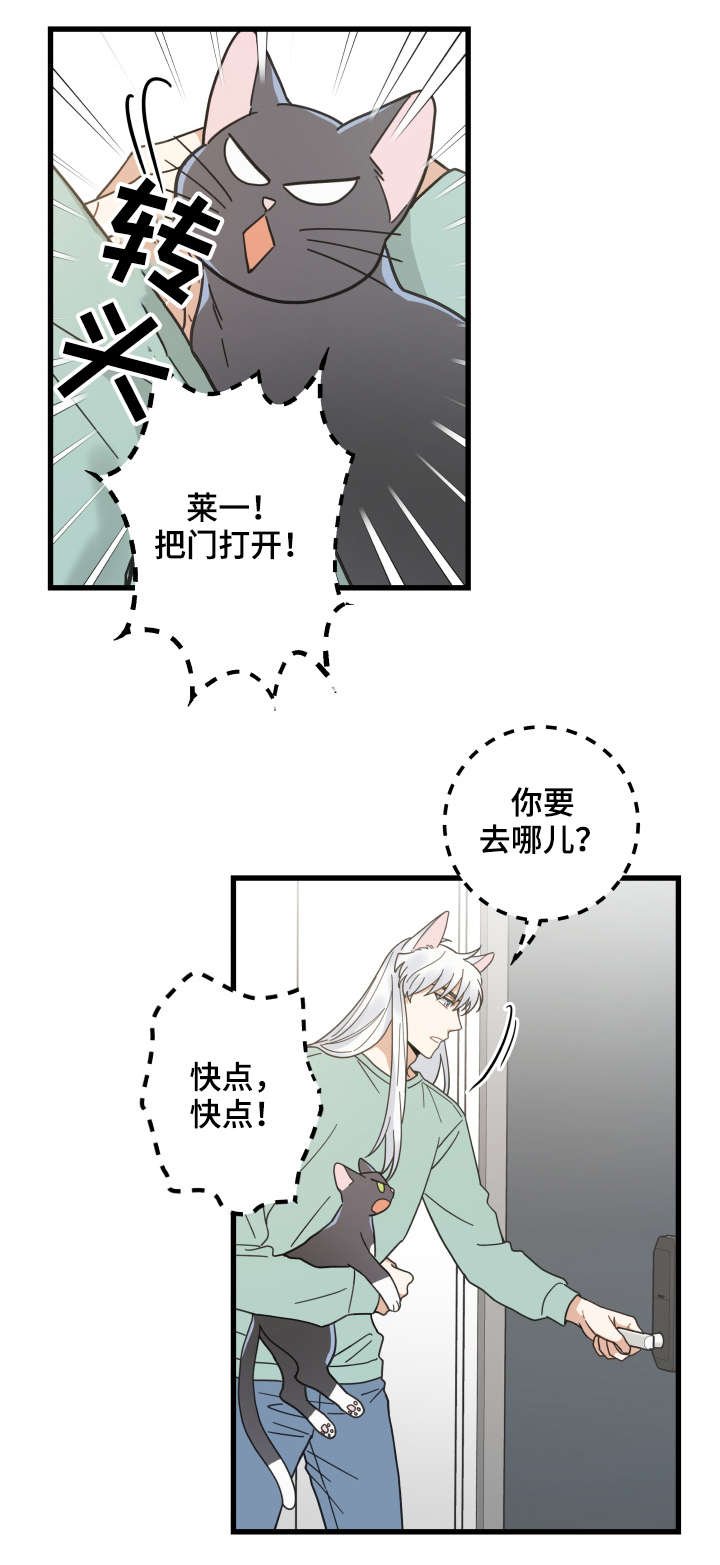 第43章：叔叔