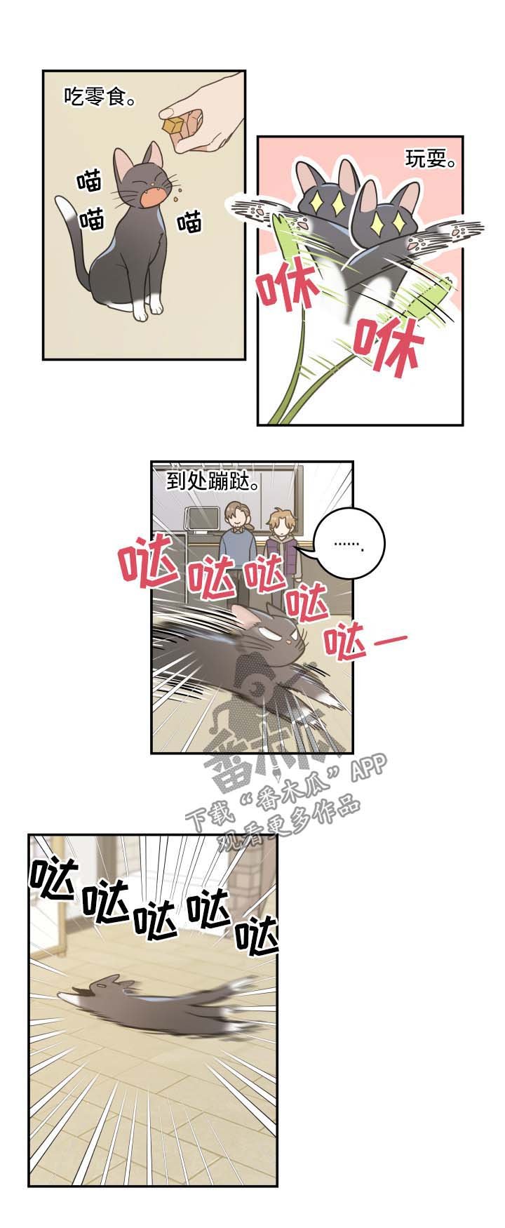 第44章：快乐生活