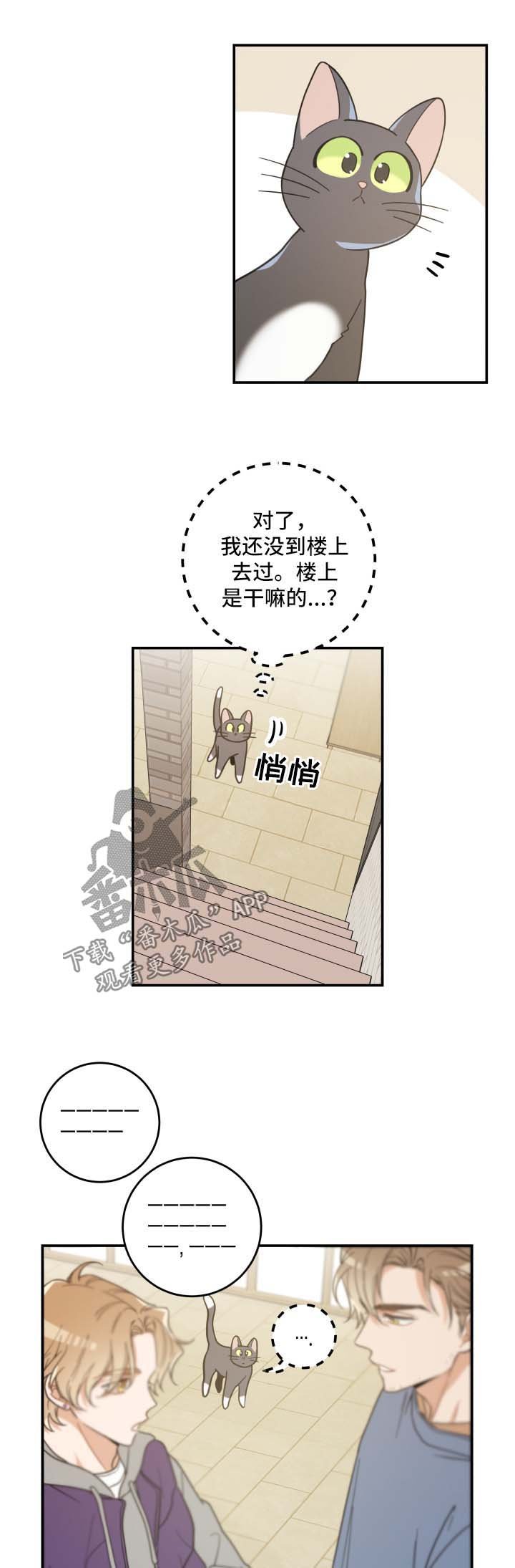 第44章：快乐生活