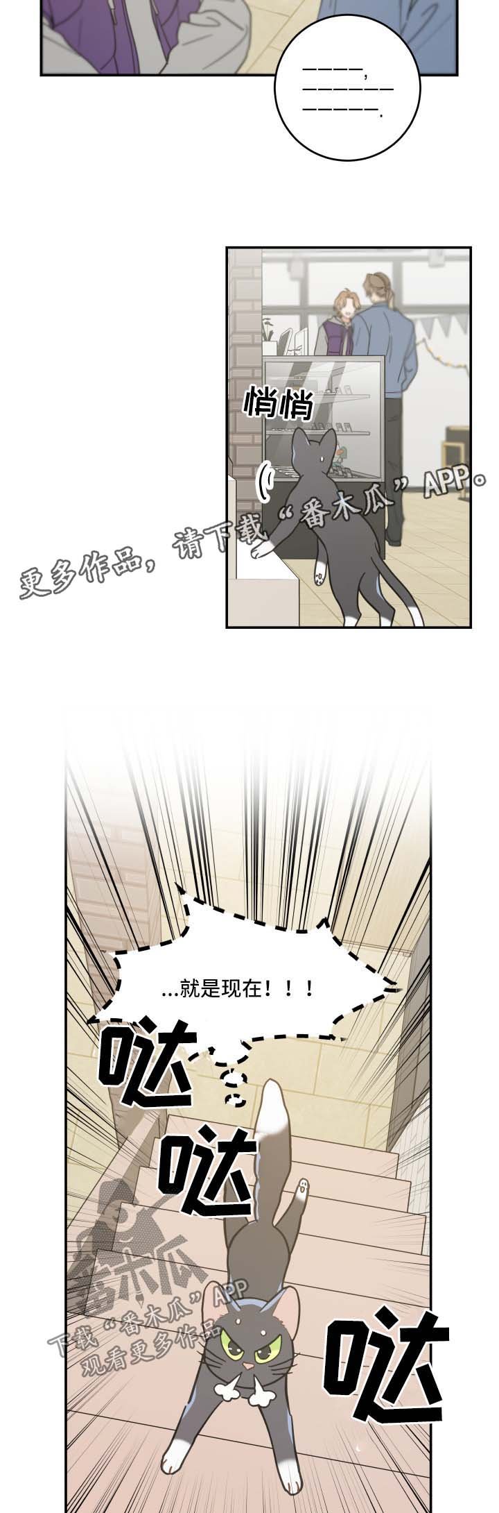第44章：快乐生活