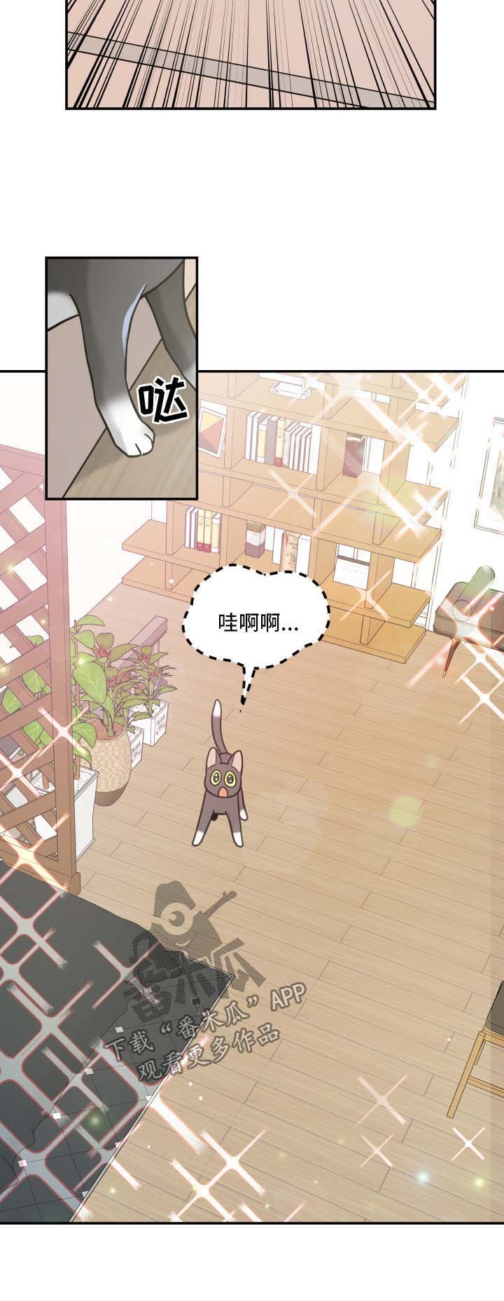 第44章：快乐生活