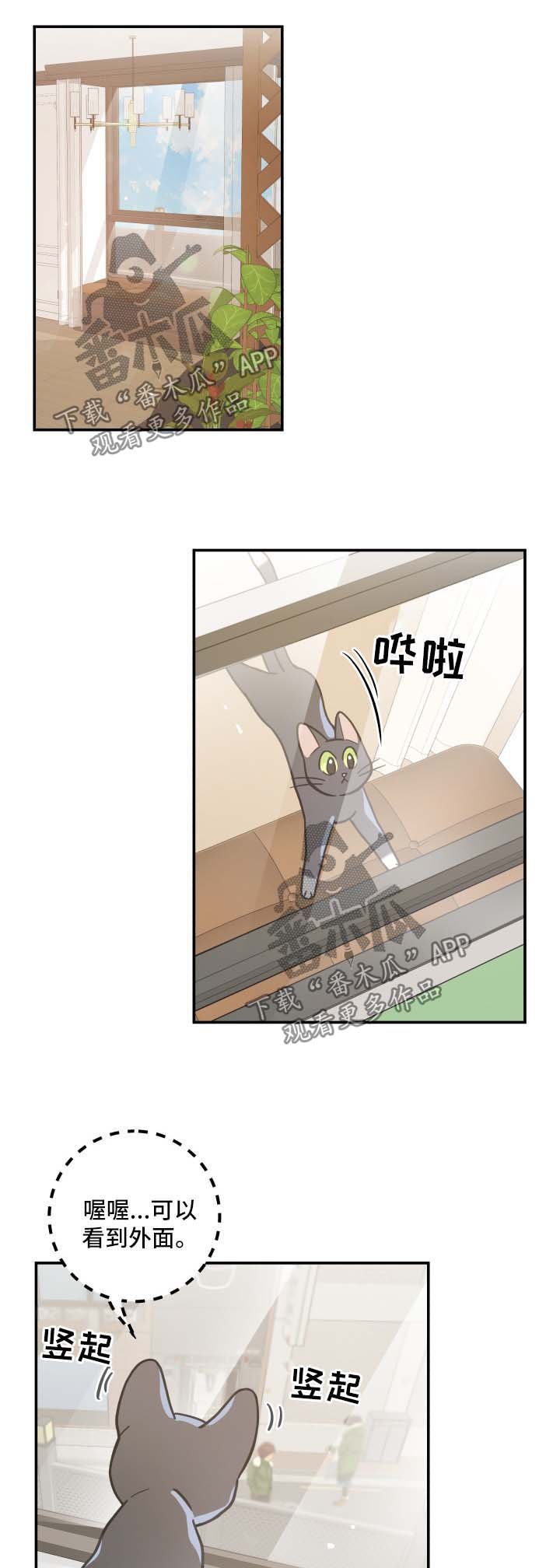 第44章：快乐生活