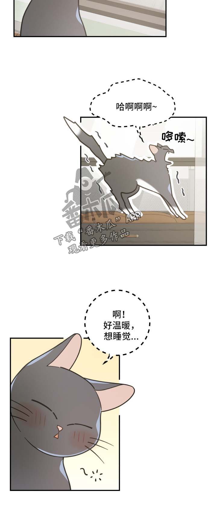 第44章：快乐生活