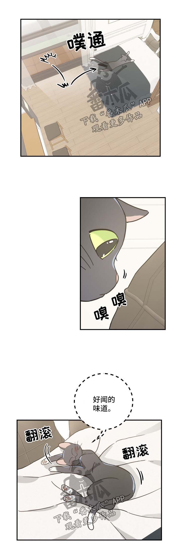 第44章：快乐生活