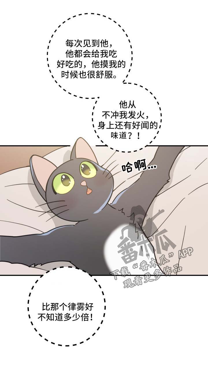 第44章：快乐生活
