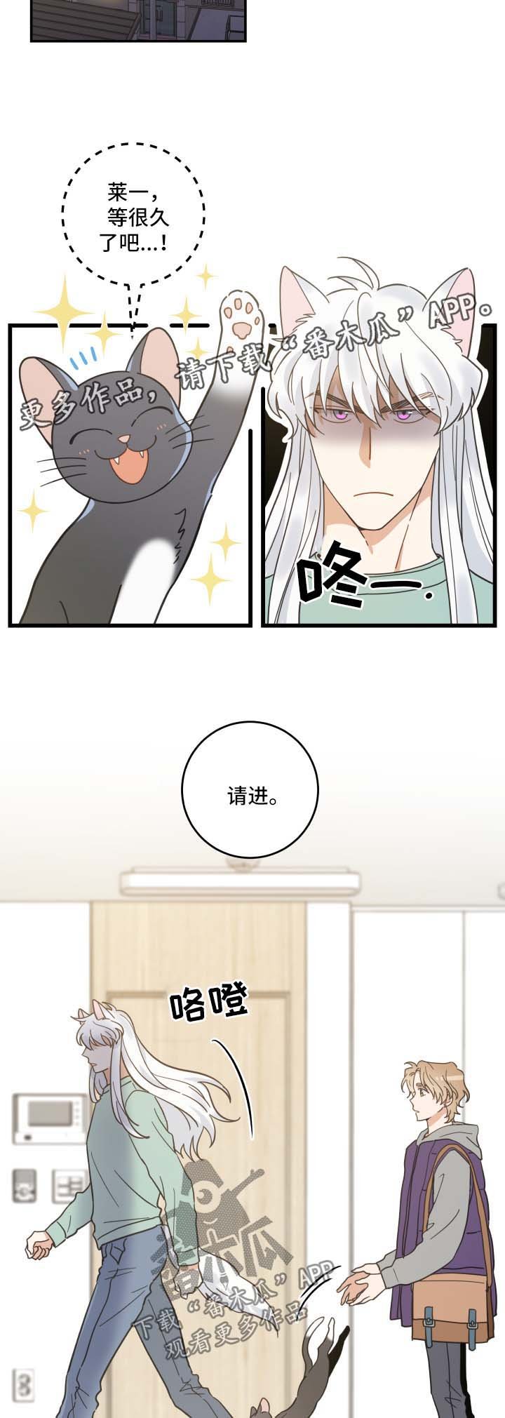 第44章：快乐生活