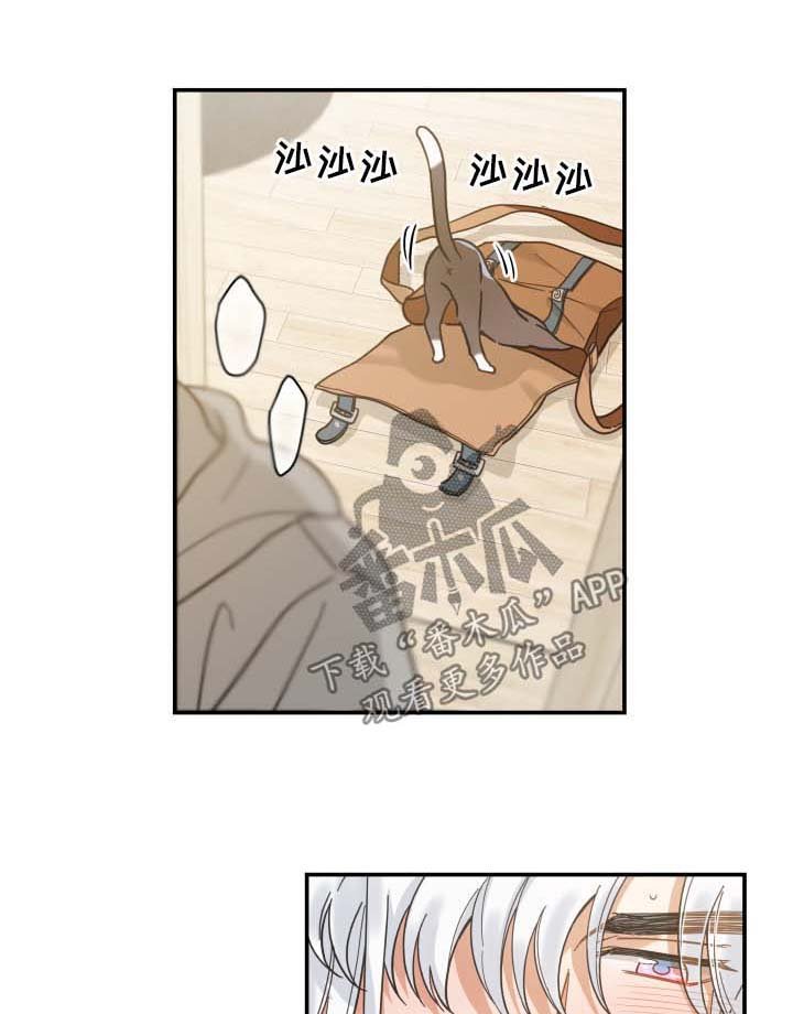 第45章：生气