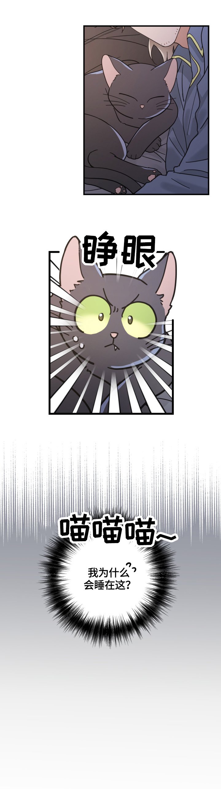 第51章：睡醒