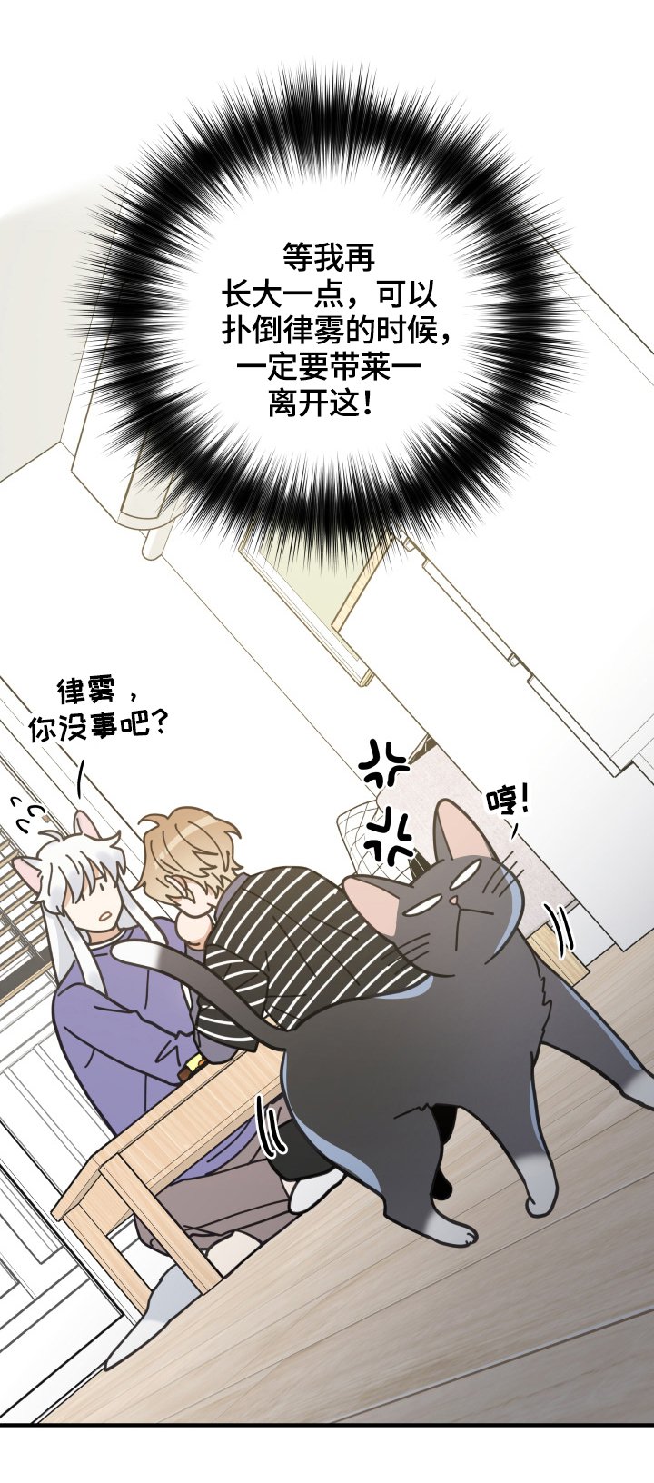 第55章：新邻居
