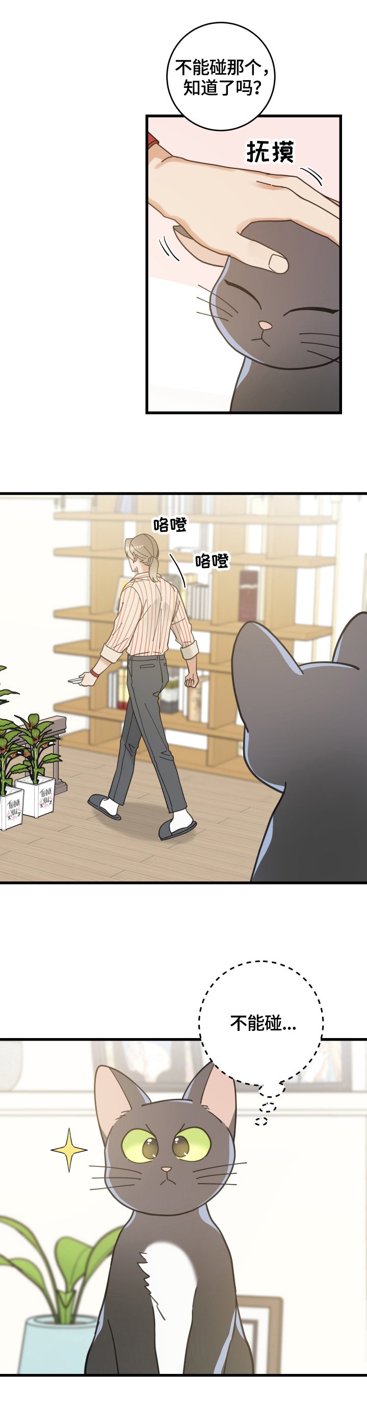 第56章：不能碰的东西