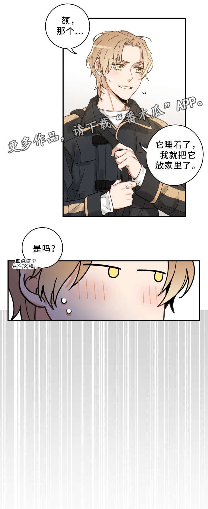 第6章：猫呢