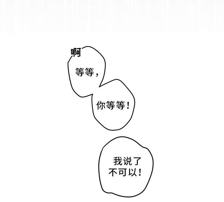 第6章：猫呢
