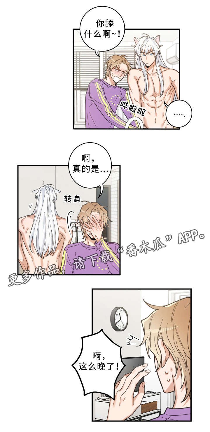 第6章：猫呢