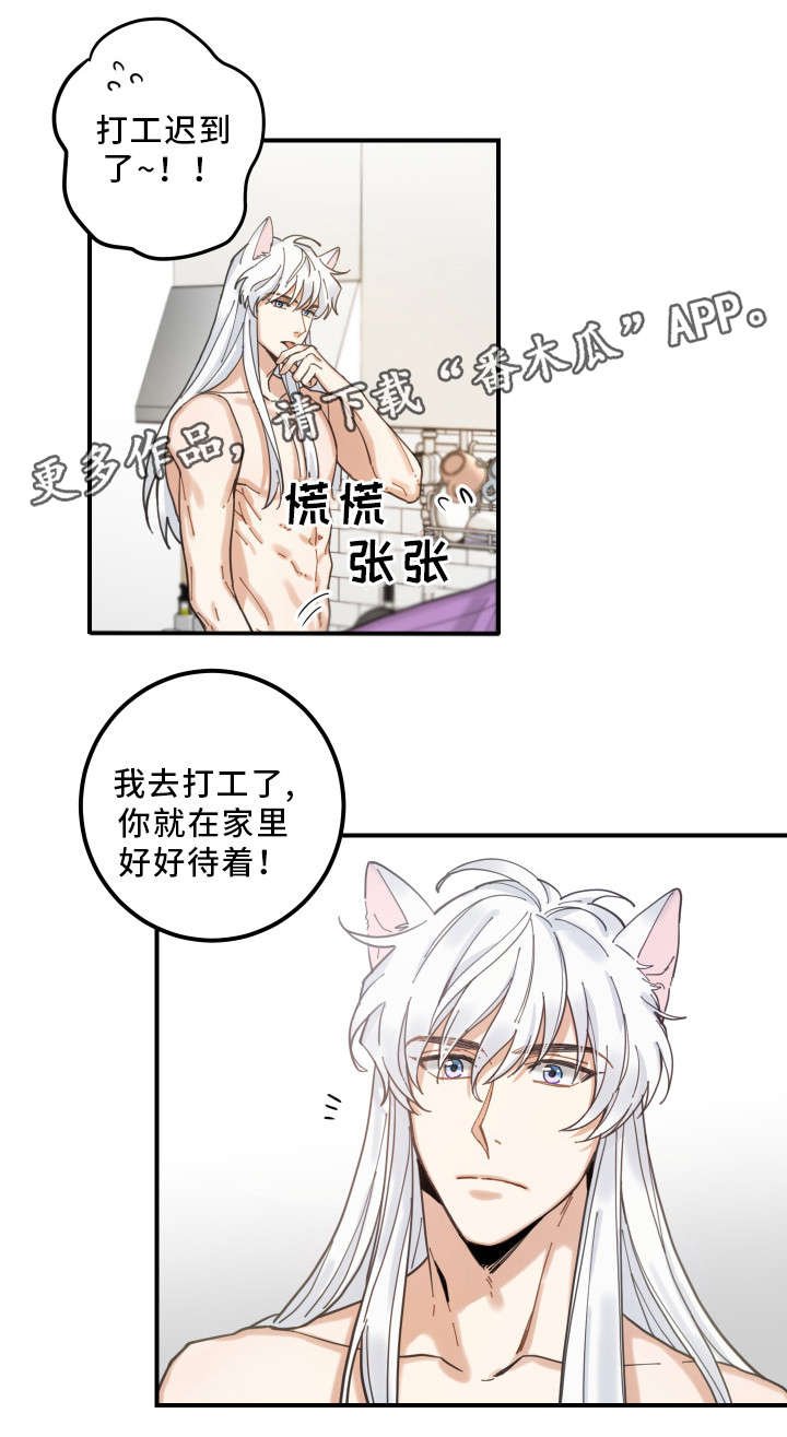 第6章：猫呢