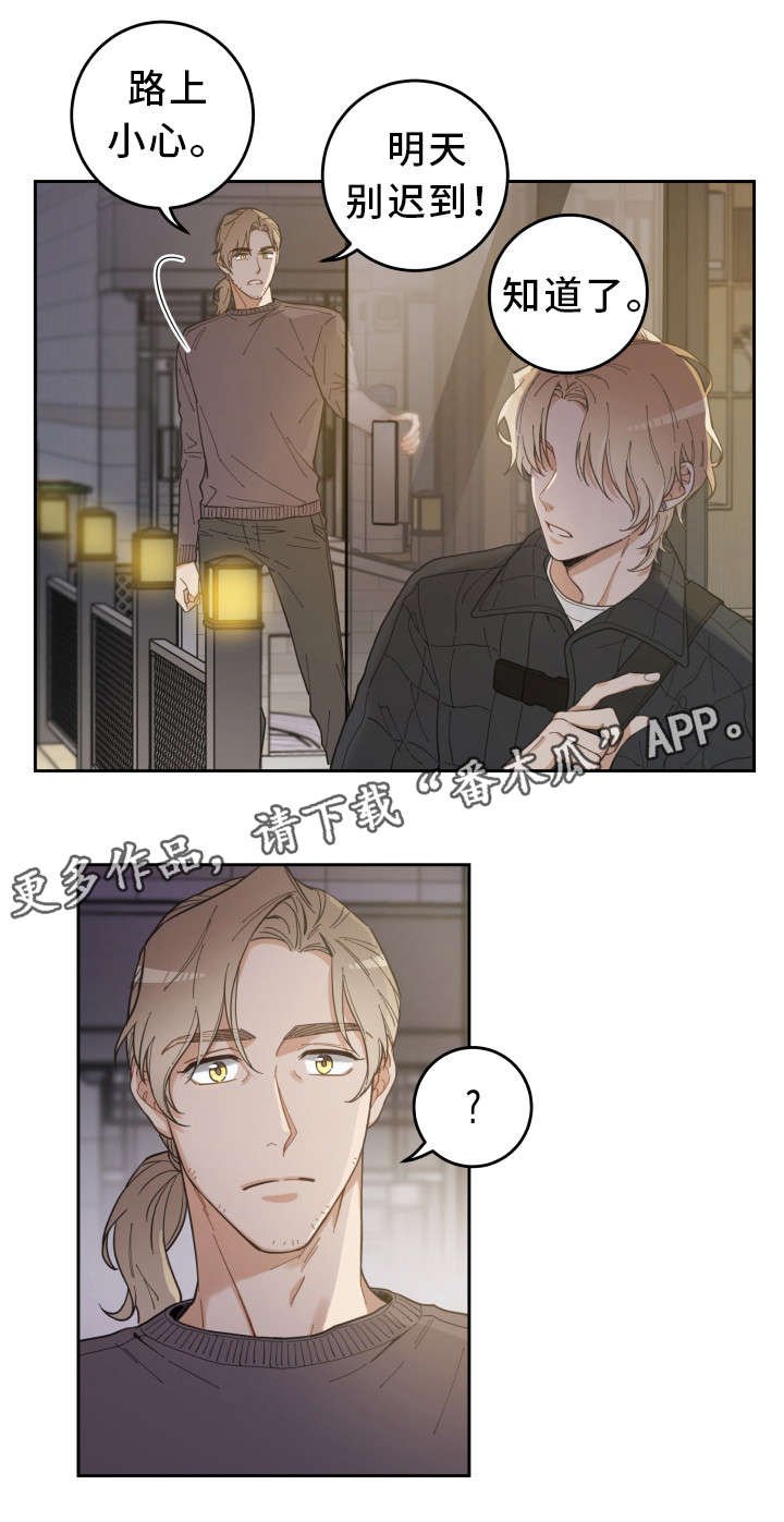 第6章：猫呢