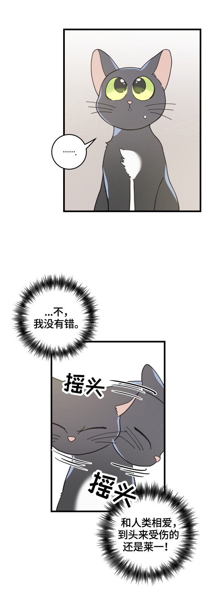 第60章：悲剧