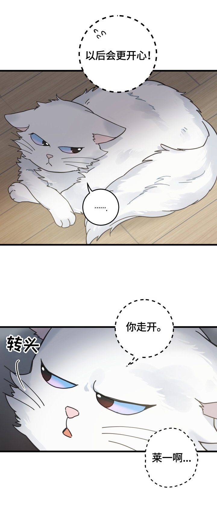 第60章：悲剧