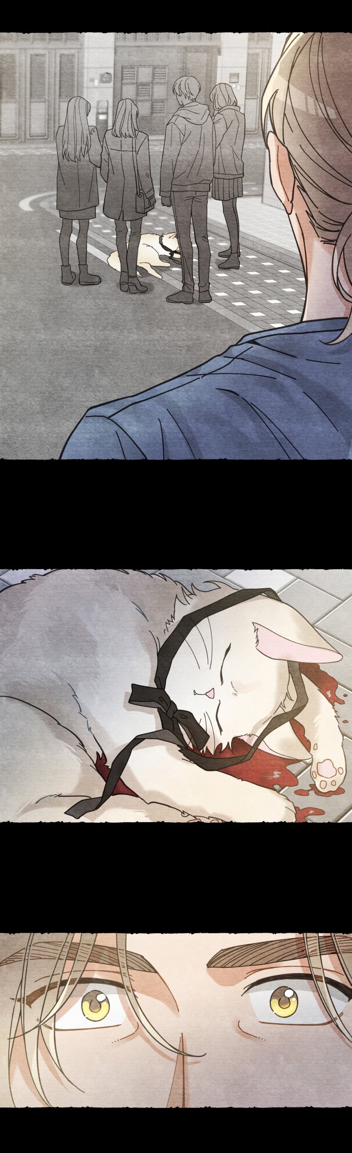 第60章：悲剧