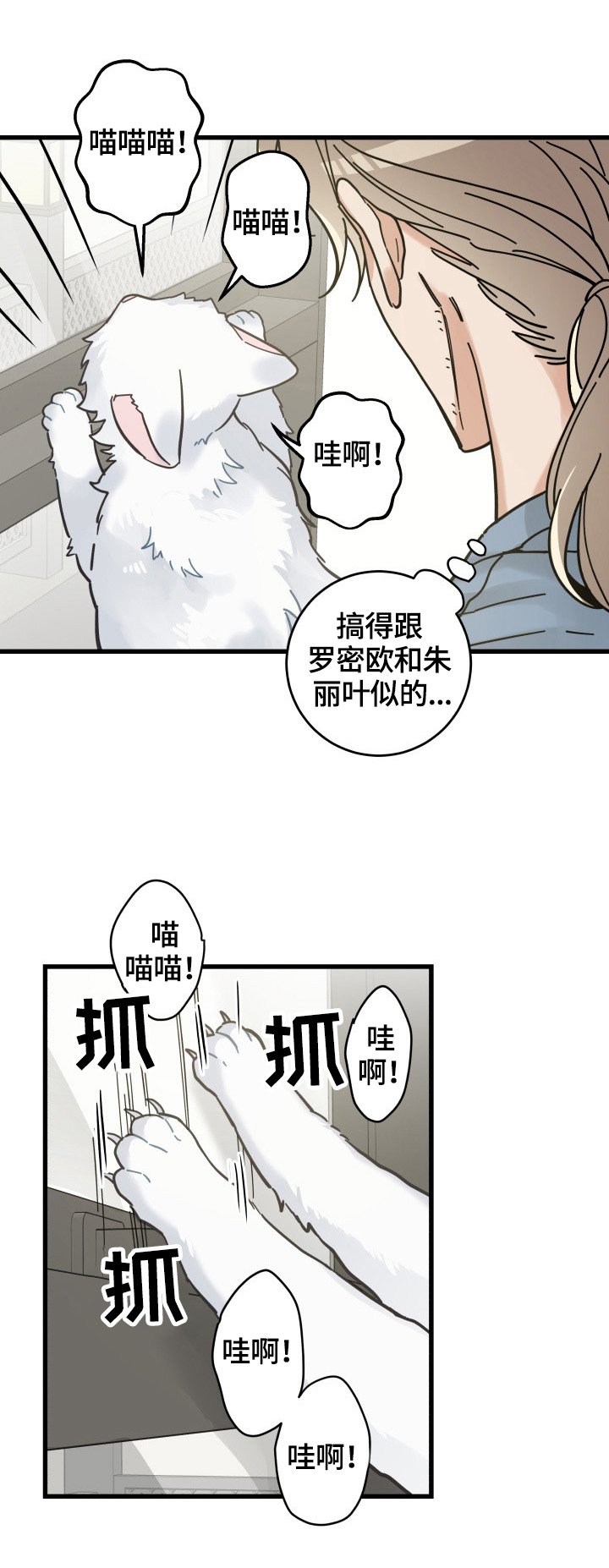 第62章：拒绝