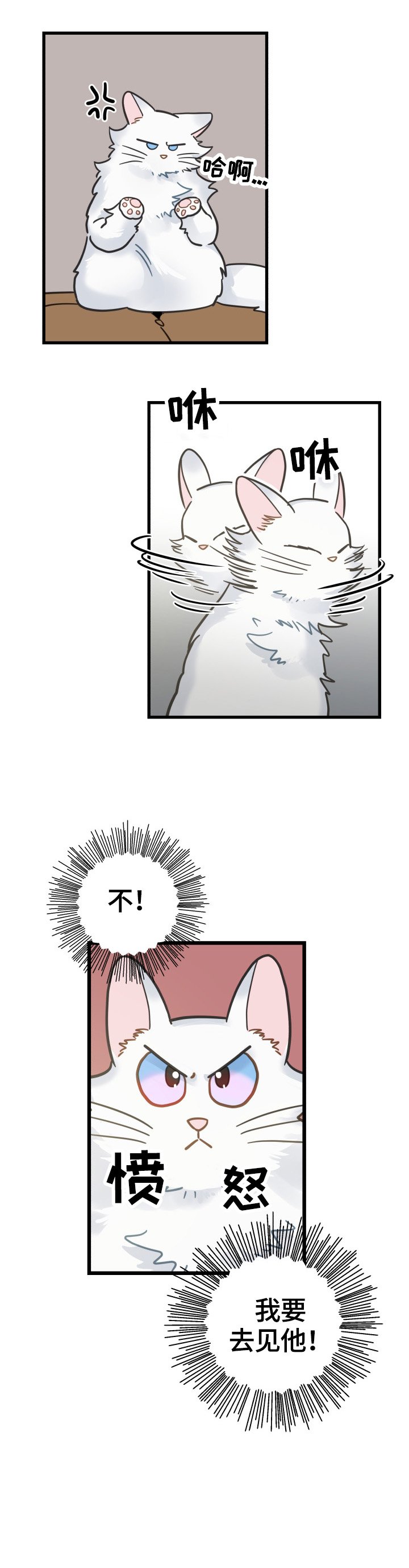 第63章：思念