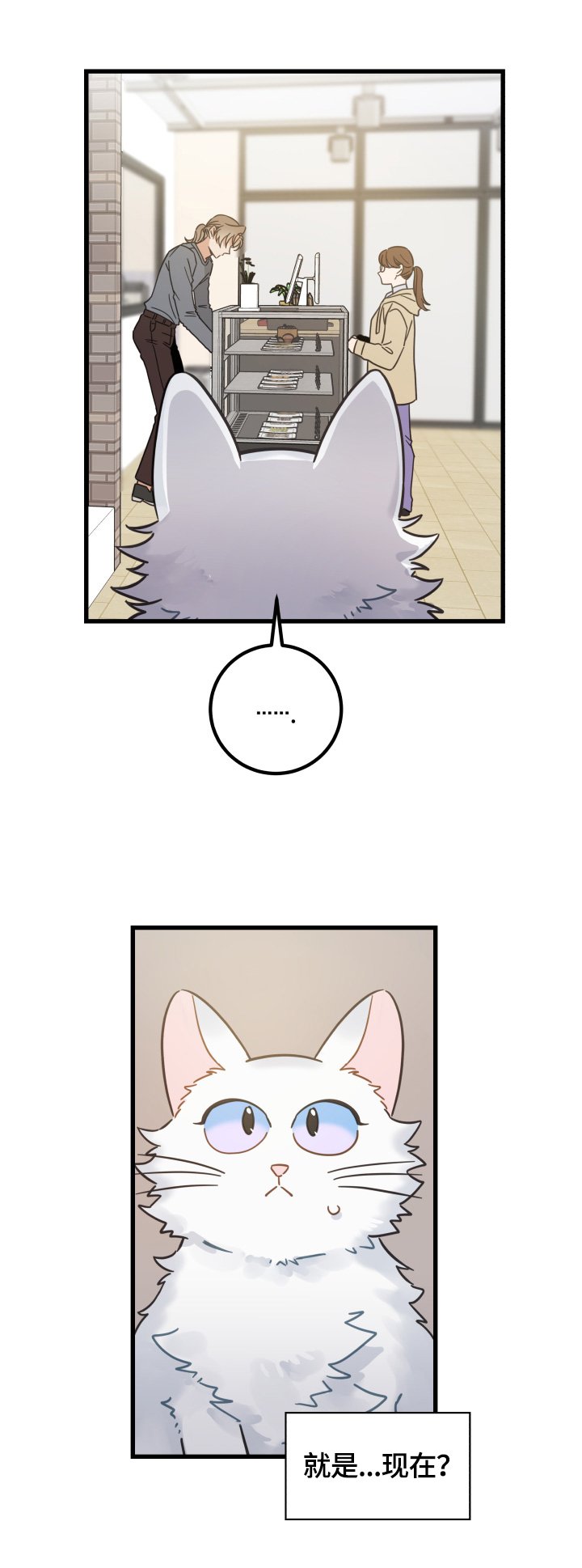 第64章：逃走