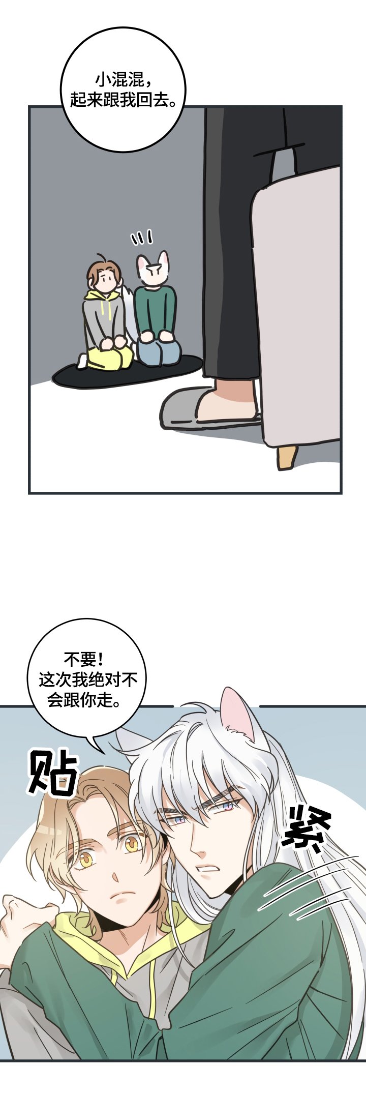 第67章：同意