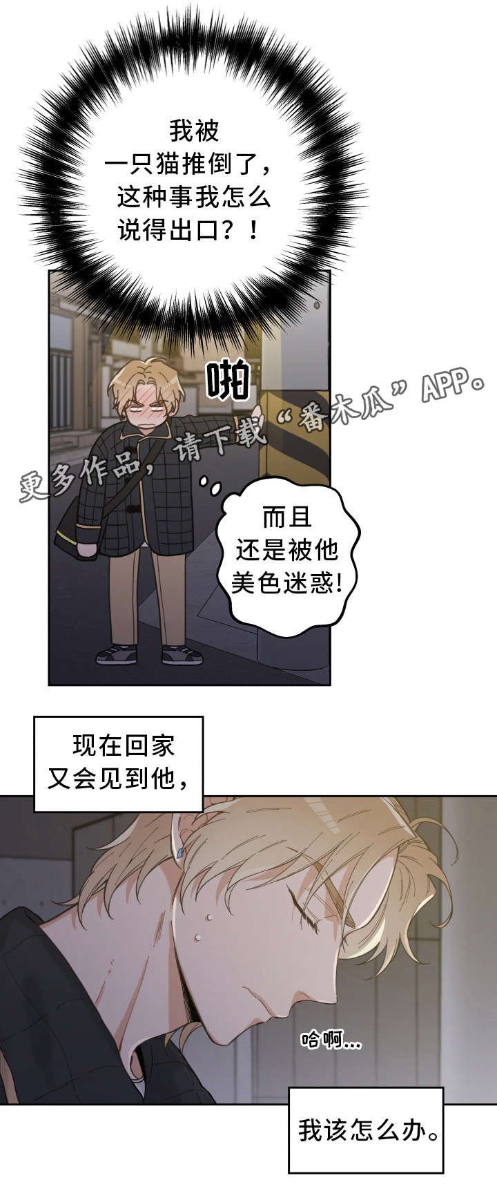 第7章：衣服